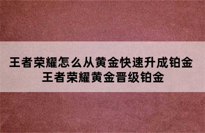 王者荣耀怎么从黄金快速升成铂金 王者荣耀黄金晋级铂金